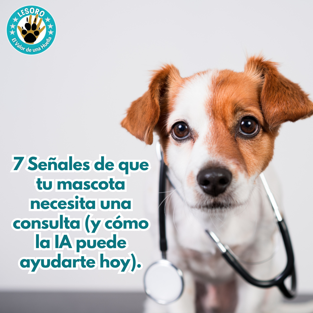 7 Señales de que tu mascota necesita una consulta (y cómo la IA puede ayudarte hoy).